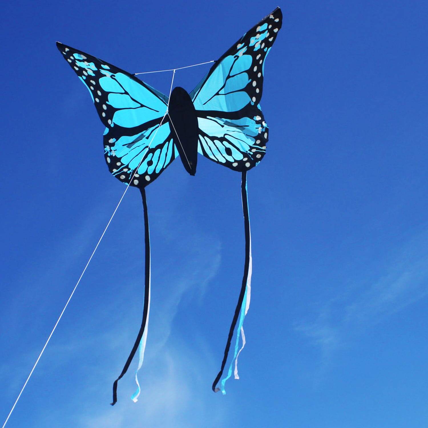 Schmetterling Einleinerdrachen Kinderdrachen flugfertig  von Wolkenstürmer 