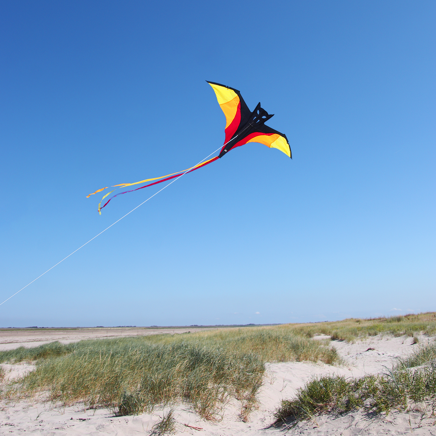 Wolkenstürmer Kinderdrachen Fledermaus Benny einfach zu fliegen online kaufen!