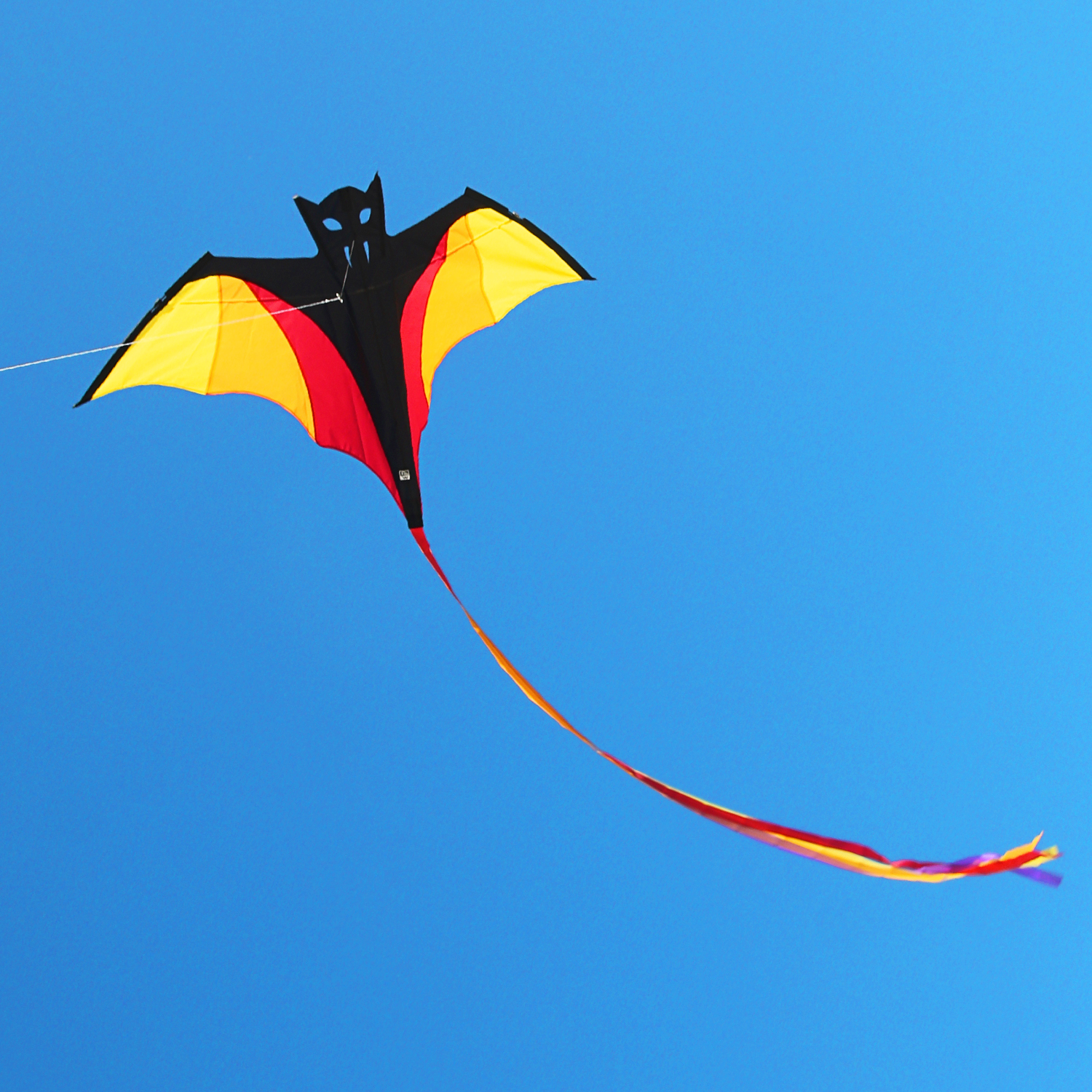 Wolkenstürmer Kinderdrachen Fledermaus Benny für wenig Wind online kaufen!